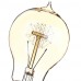 60W 2700K Vintage Edison Bulb A19 Antique Filament Style Incandescent Light Bulbs Medium(AC220-240V)  