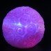 6.5*6.5*6CM Christmas 7 Colour Ball Rose A Night Light Light LED Lamp  