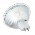 5W LED Spotlight MR16 30 SMD 2835 350 lm Cool White Decorative AC 220-240 V  