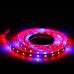 LED Grow Lights  DC12V Growing LED Strip light 2m non waterproof Plant Growth Light Set with Adapter  